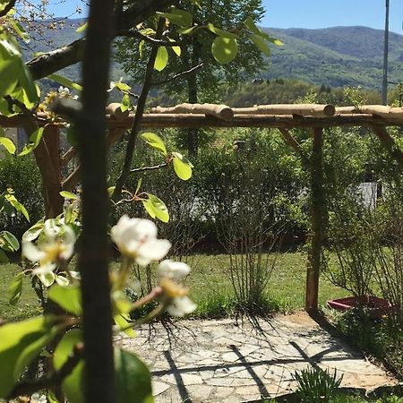 Bb Andre' Bed & Breakfast Vara Superiore Bagian luar foto